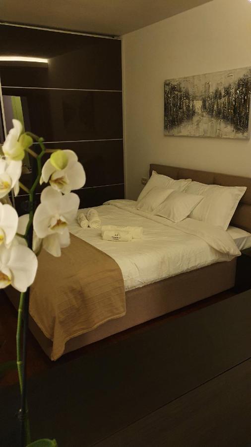 Harmony Apartmani อารันเยโลวัคส์ ภายนอก รูปภาพ